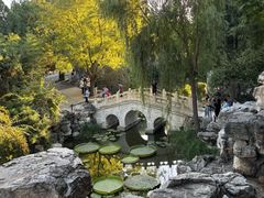 -莲池书院博物馆