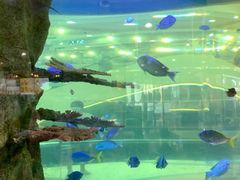 -尚泰清迈机场购物中心