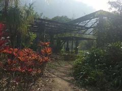 -南沙蒲洲花园