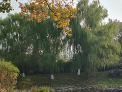 -玄武湖景区-情侣园游乐场