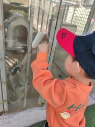 -萌宠亲子动物乐园(槐房万达店)