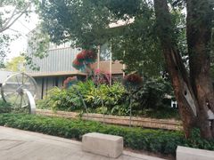 -若蘭慈·无国界素食料理(欢乐海岸店)