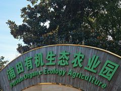 -阳澄湖半岛旅游度假区
