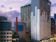 -新加坡乌节希尔顿酒店 (SG Clean)