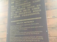 -裕龙汤泉