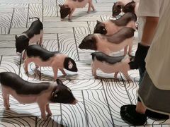 -仲盛世界商城