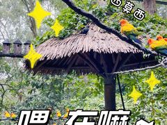 -广州长隆野生动物世界