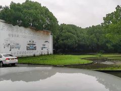 -胜华驾校·小猫学车(银都店)
