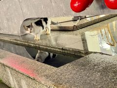 -梧桐花园餐厅(新城店)