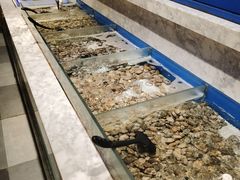 -火锅岛潮牌自助餐厅(天津天佑城店)