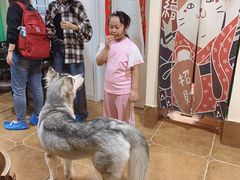 -李小姐の猫咖啡馆(五角场店)