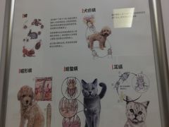 -仁华宠物医院(青羊店)