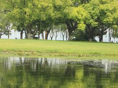 -柳浪闻莺公园