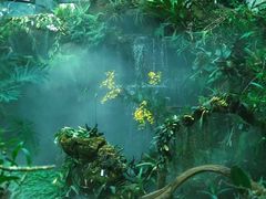 -东莞植物园