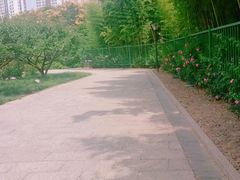 -荆川公园