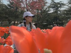 -石家庄市植物园
