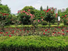 -堤角公园