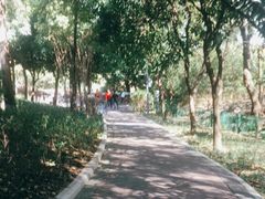 -广东花都湖国家湿地公园