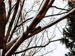 -北京植物园南门售票处