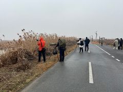 -盐城丹顶鹤湿地生态旅游区