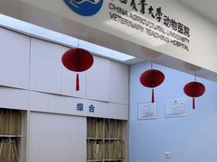 -中国农业大学动物医院