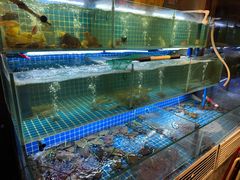 -李记潮汕砂锅粥(营福路店)