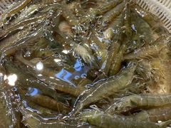 -天津金元宝滨海农产品交易市场(共发大道)