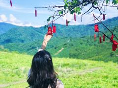 -硗碛藏寨·神木垒景区