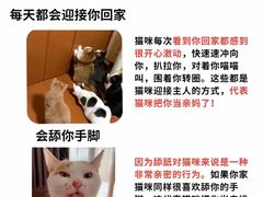 -美迦爱动物医院·夜诊(朝阳路诊疗中心)