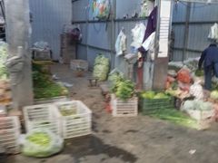 -岳各庄批发市场(西四环中路店)