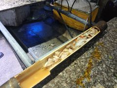 -竹泉农庄·竹筒饭(从化店)