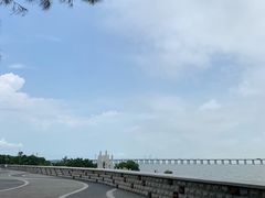 -宝安西湾红树林湿地公园