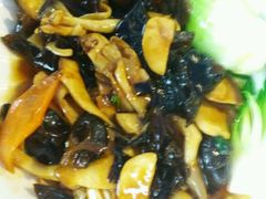 -云中小雅