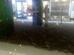 -鹏欣水游城