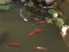-茅台镇网红溶洞餐厅·茅帮菜馆