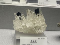 -湖南省地质博物馆