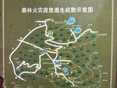 -武陵山森林公园