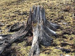 -硗碛藏寨·神木垒景区