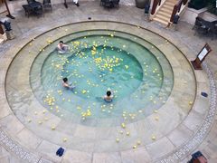 -苏州湾王焰温泉度假酒店