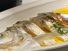 鸡汁蒸太湖大白鱼-彩虹之约•淮扬家宴(亚运村店)