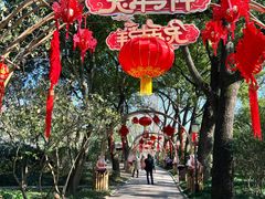 -上海醉白池公园