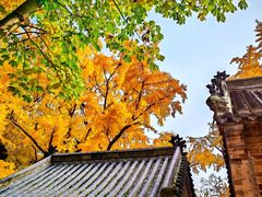 -浮来山风景区