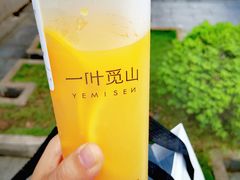-一叶觅山(半边街店)