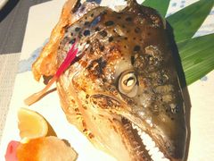 -森味薪火烧•烧鸟居酒屋•日本料理(望京店)