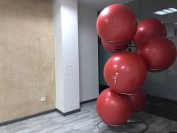 -榕树上·瑜伽普拉提