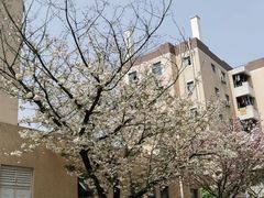 -四川大学江安校区小吃城