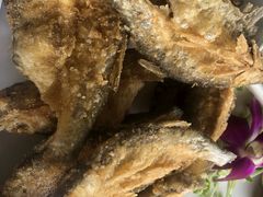 -明潭茶老爸