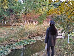 -长白岛森林公园