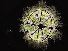 -胡桃里音乐酒馆(曲江店)