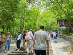 -灵岩山风景区